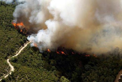 雙光譜紅外熱成像技術在森林防火