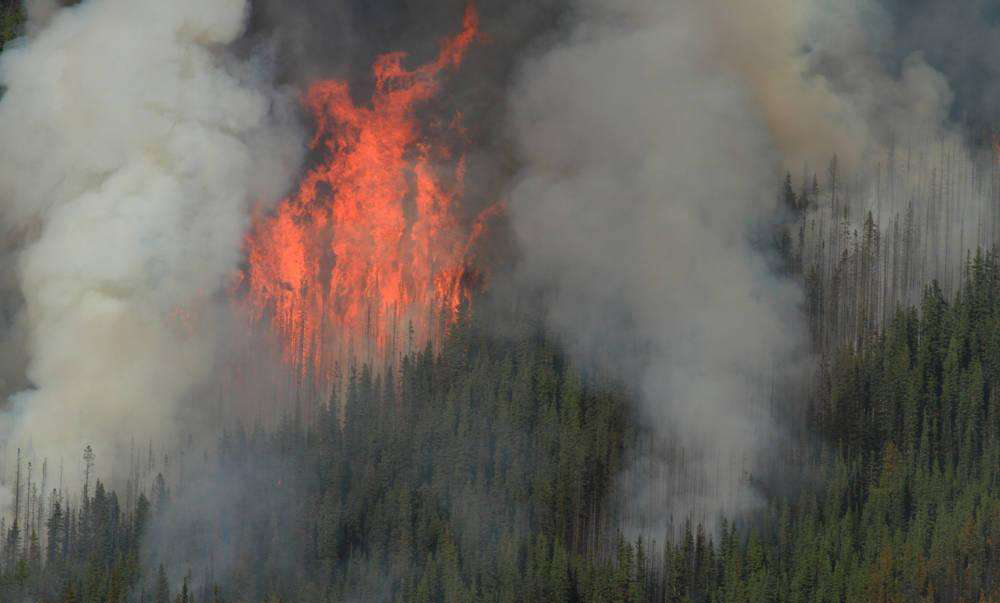 紅外熱像儀在固體廢棄物處理行業的應用