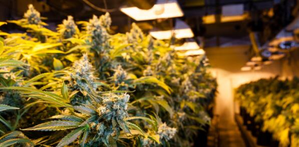 格物優信紅外熱像儀-緝毒助手