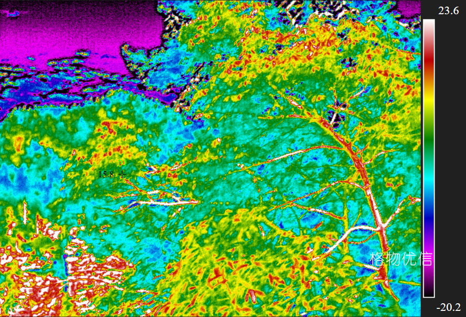 紅外熱像儀用于野生動物保護(hù)