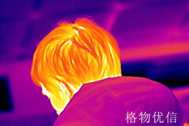 384*288分辨率紅外拍攝