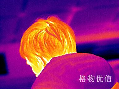 384*288分辨率紅外拍攝