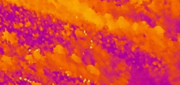 紅外熱像儀在森林防火中的重要作用