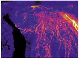 生物質能廢料堆紅外熱成像防火監控應用