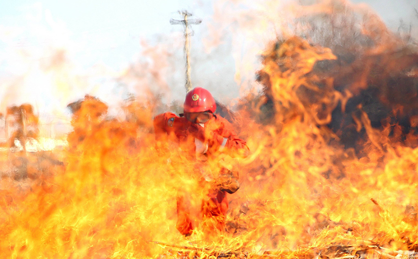 紅外熱像儀森林防火高效監(jiān)測方法