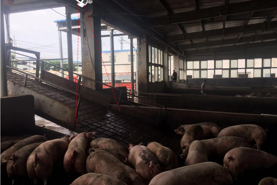 豬場入口處設備安裝示意圖