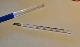 紅外熱像儀可以檢測人體哪些部位