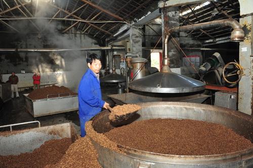 紅外熱像儀與裝甄機器人一起釀酒