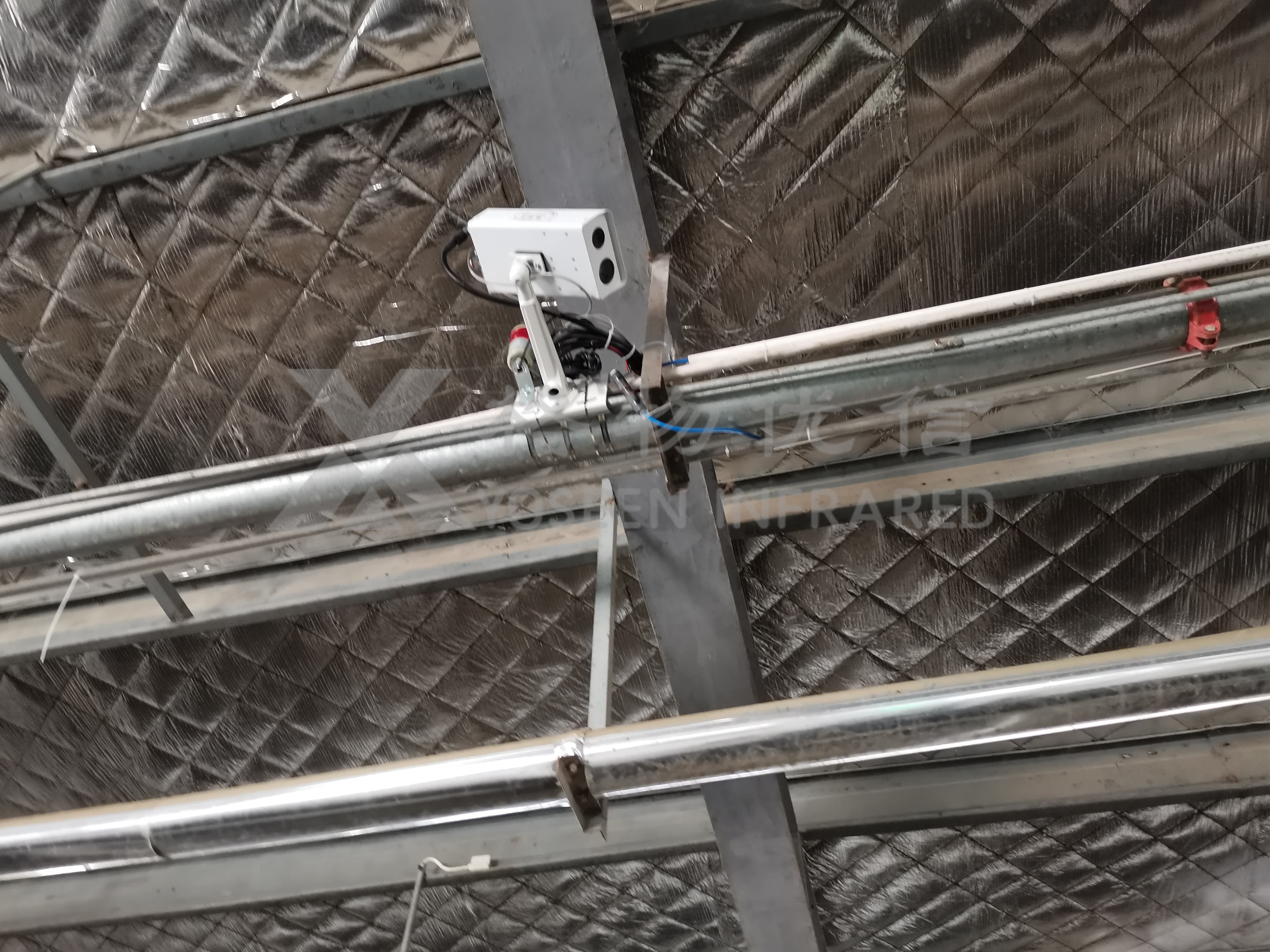 AI養豬難落地？熱成像讓科學養豬觸手可及！