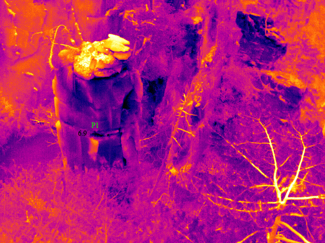 紅外熱像儀在地理勘測的應用