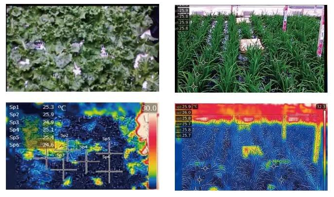 紅外技術在智慧農業上的應用
