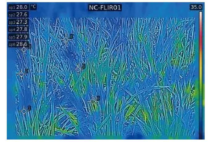 紅外技術在智慧農業上的應用