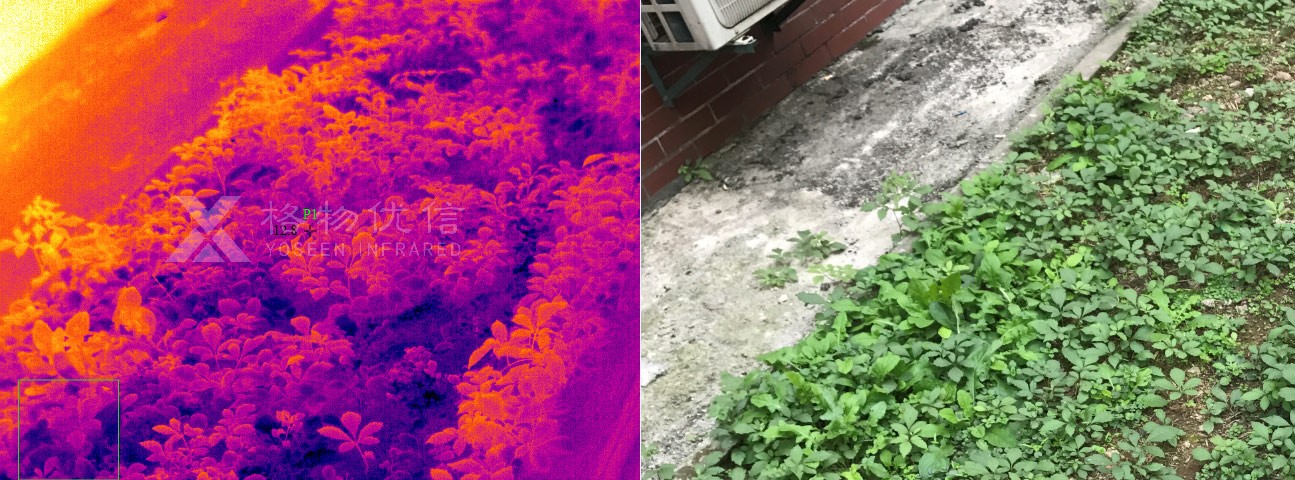 重載云臺熱像儀